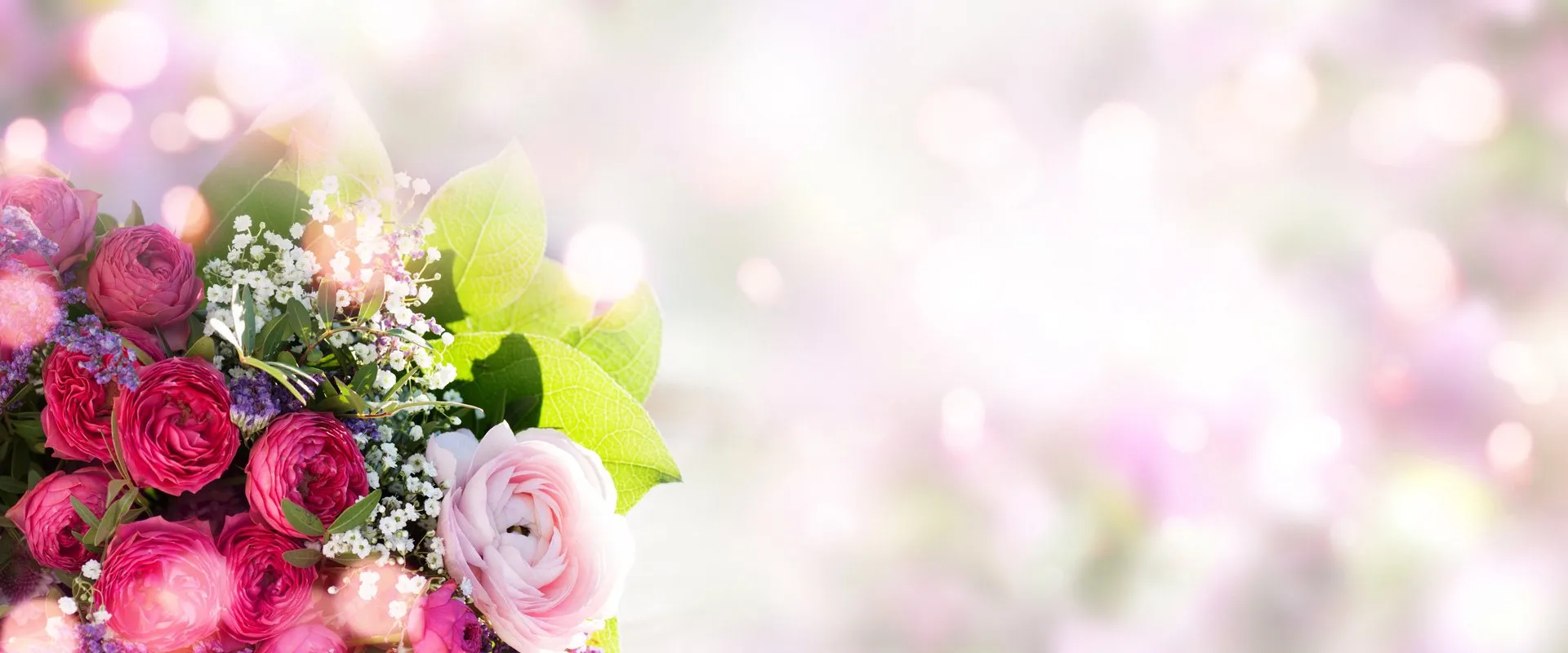 Contact Pampered Image